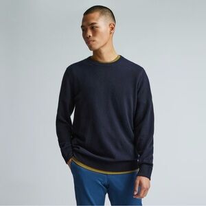 Everlane The Cashmere Crew